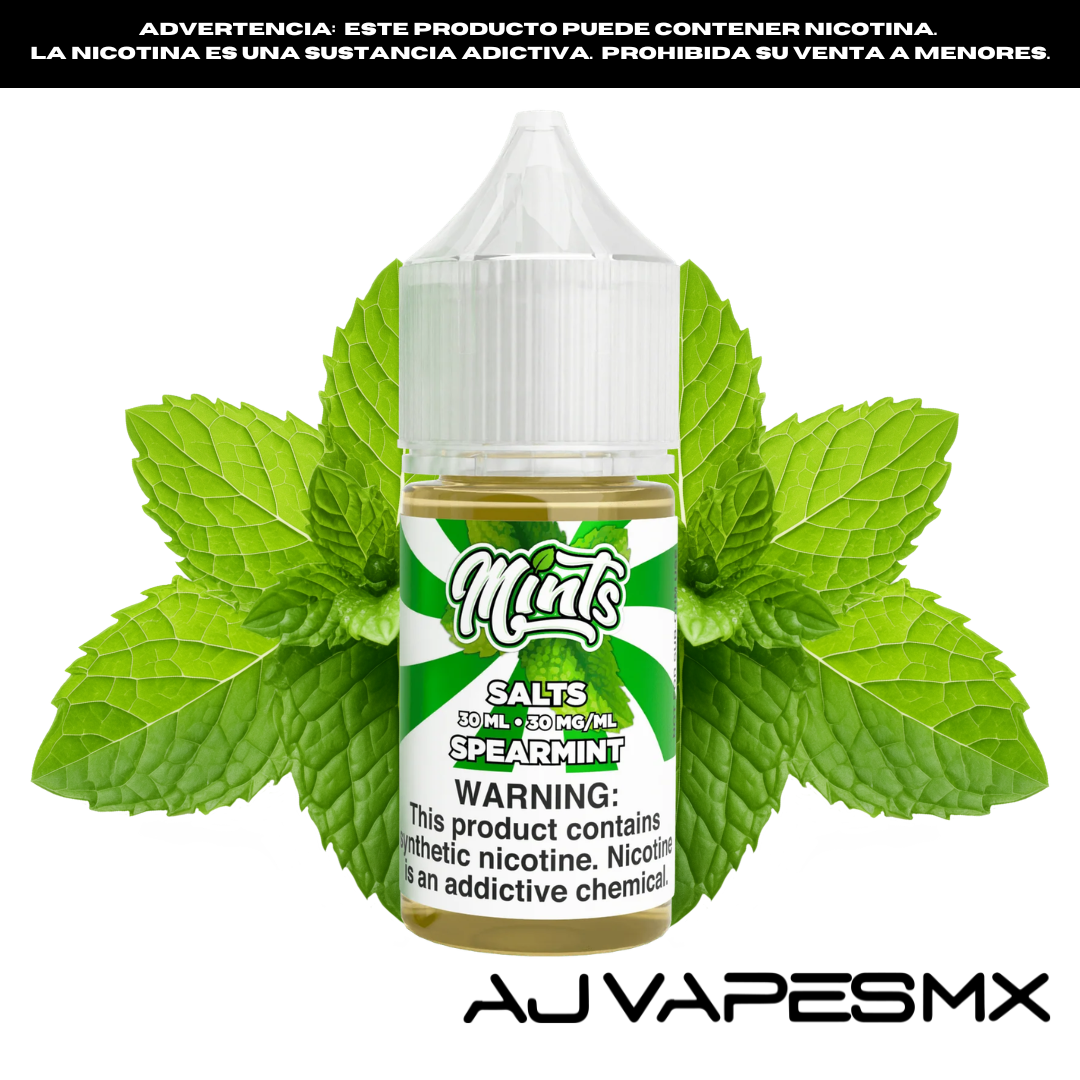 Spearmint 30ml NicSalt | MINTS