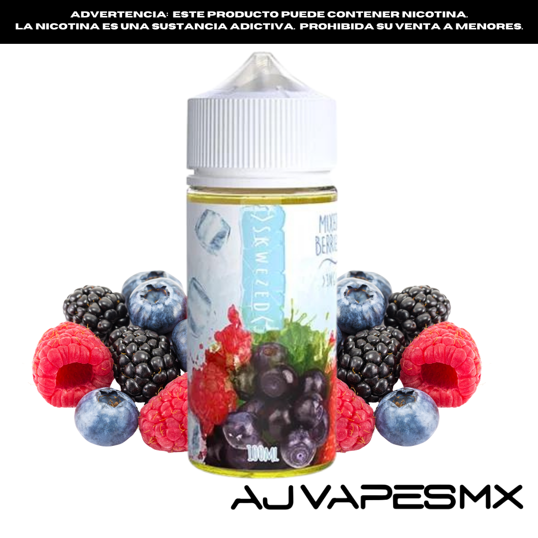 Mixed Berries Ice 100ml | SKWEZED