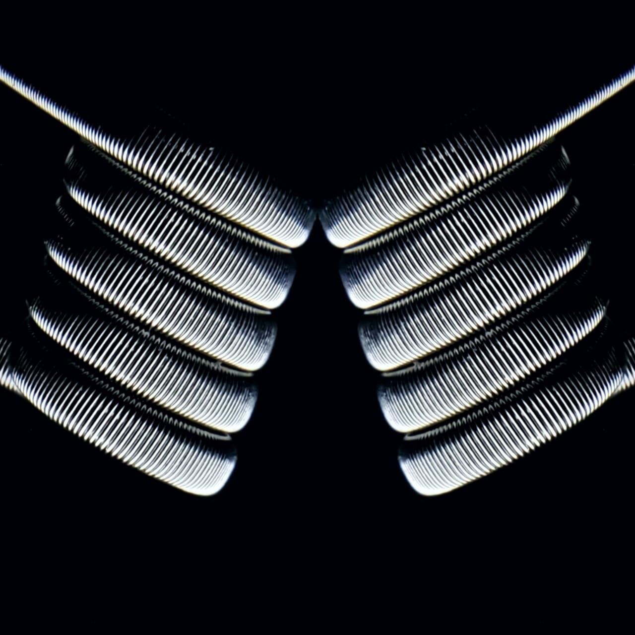 MTL Fused Clapton (PAR) | RAMCEZZ COILS - AJ Vapes Mx -