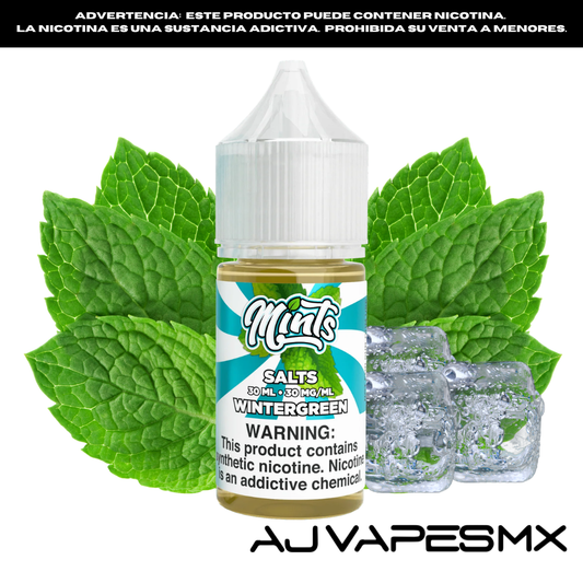 Wintergreen 30ml NicSalt | MINTS