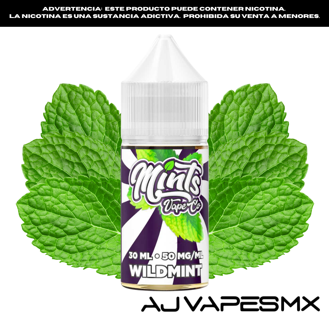 Wild Mint 30ml NicSalt | MINTS